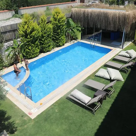 Hotel Viola (adults Only) 2*