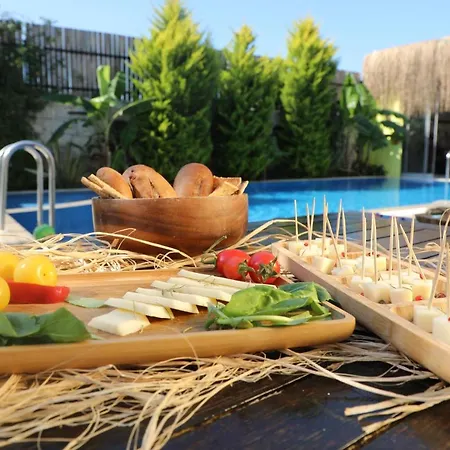 Viola (adults Only) 2* ألاتشاتي