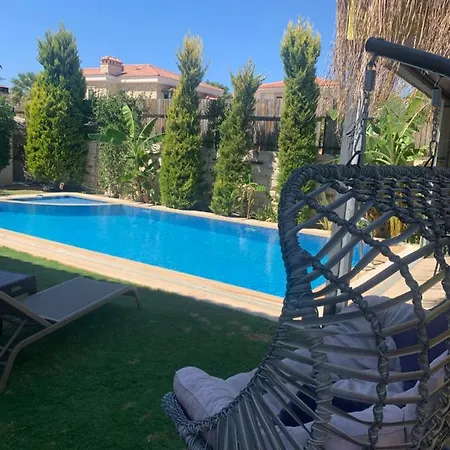 Hotel Viola (adults Only)