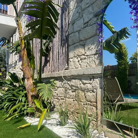 Hotel Viola (adults Only) 2*