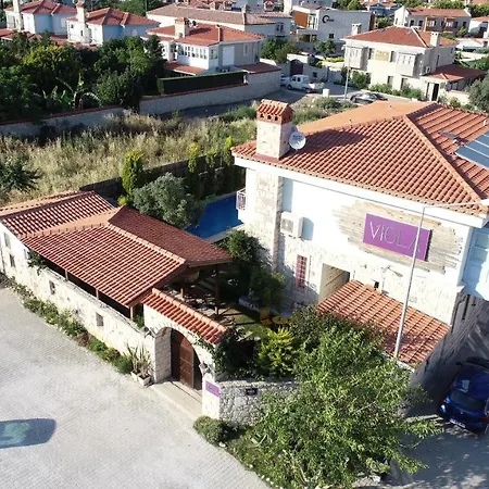 Hotel Viola (adults Only)