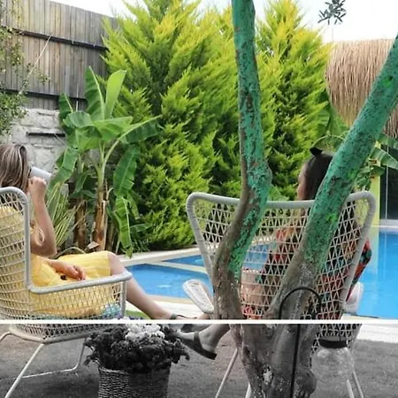 Viola (adults Only) Alaçatı