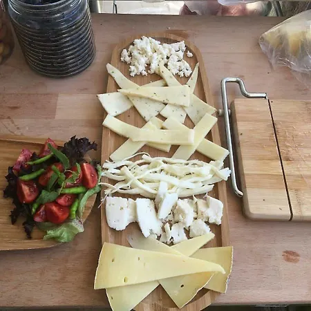 Viola (adults Only) ألاتشاتي