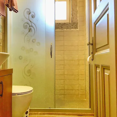 Viola (adults Only) ألاتشاتي