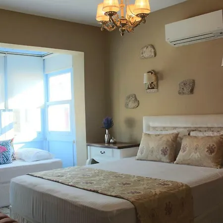 فندق Viola (adults Only) 2*