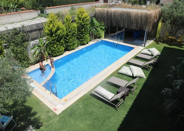 Hotel Viola (adults Only) 2*