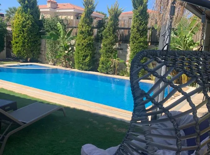 Hotel Viola (adults Only)