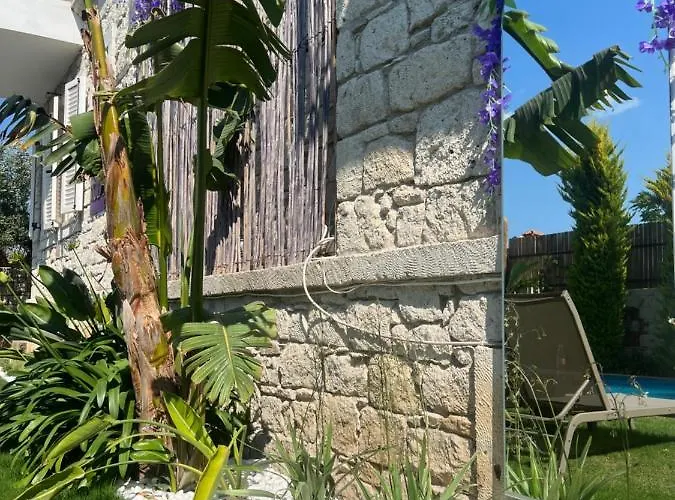Hotel Viola (adults Only) 2*