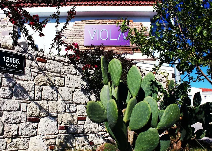 Viola (adults Only) Hotel 2*