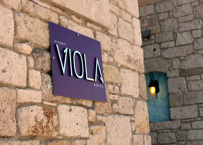 Viola (adults Only)