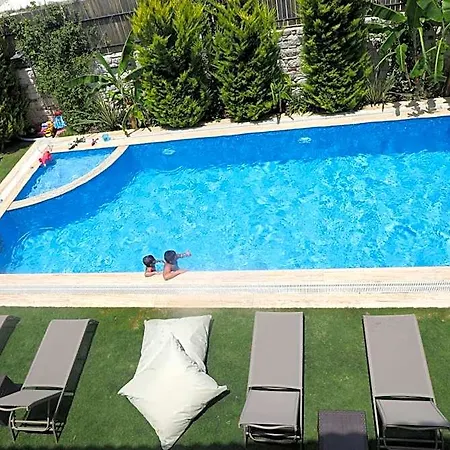 Viola (adults Only) Hotel