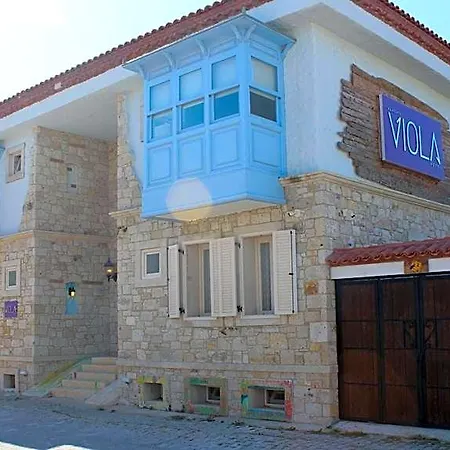 Viola (adults Only)