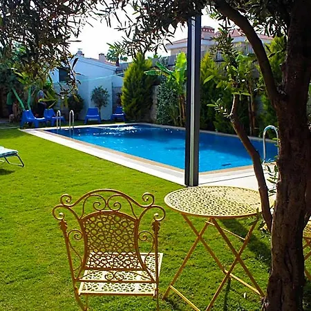 Viola (adults Only) Alacati