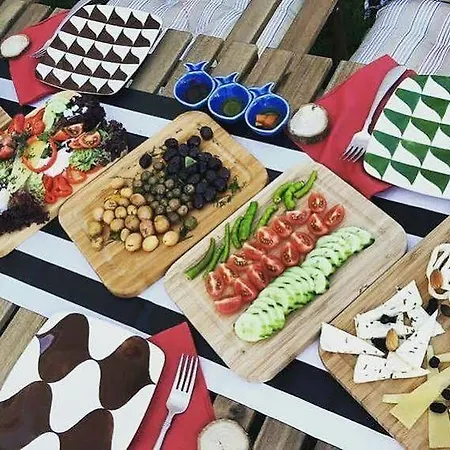 Viola (adults Only) 2*