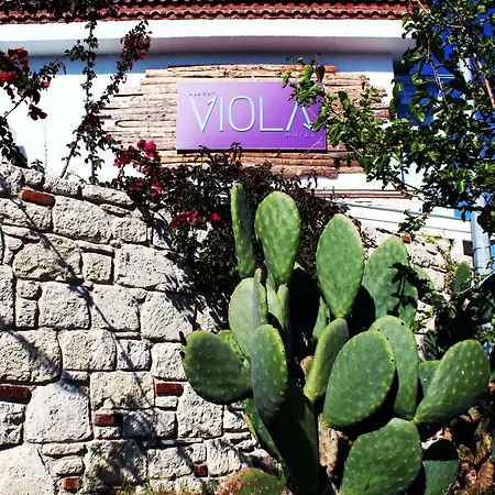 Viola Otel 2*