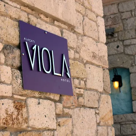 Viola (adults Only)
