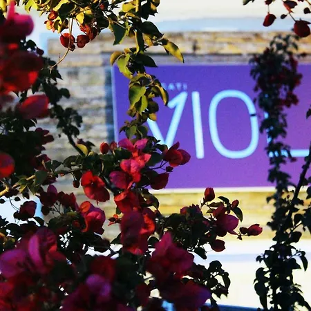 Hotel Viola (adults Only) 2*