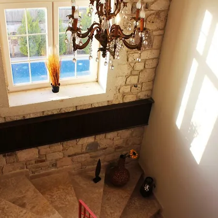 Viola (adults Only) 호텔