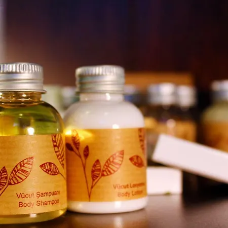 Viola (adults Only) 2* 알라카티