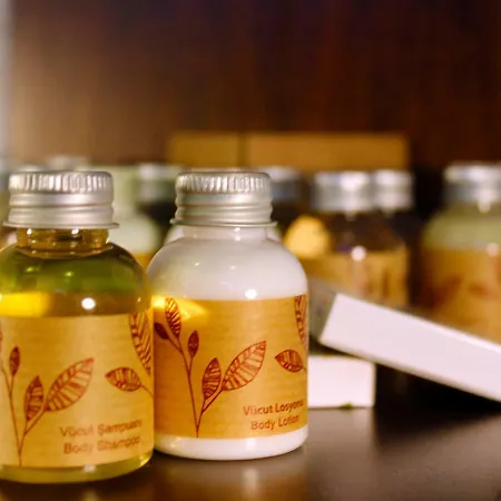 호텔 Viola (adults Only) 2*