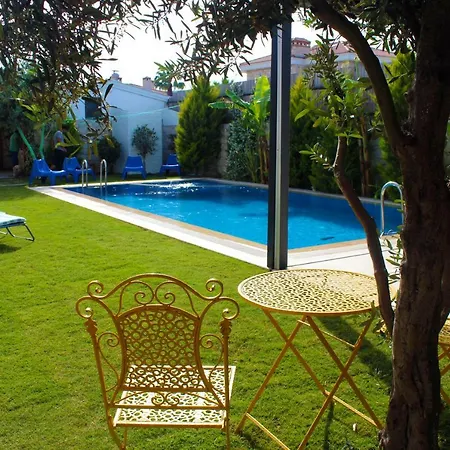 Viola (adults Only) 2*