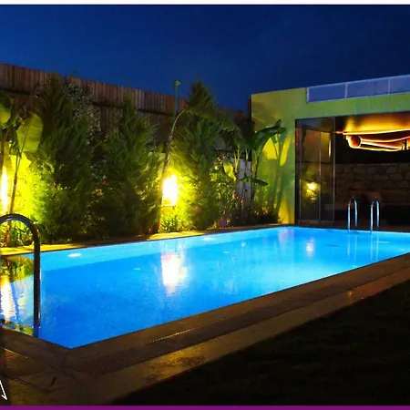 Viola (adults Only) 호텔