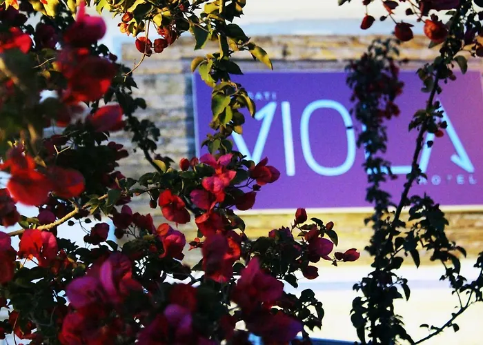 Отель Viola (adults Only) 2*