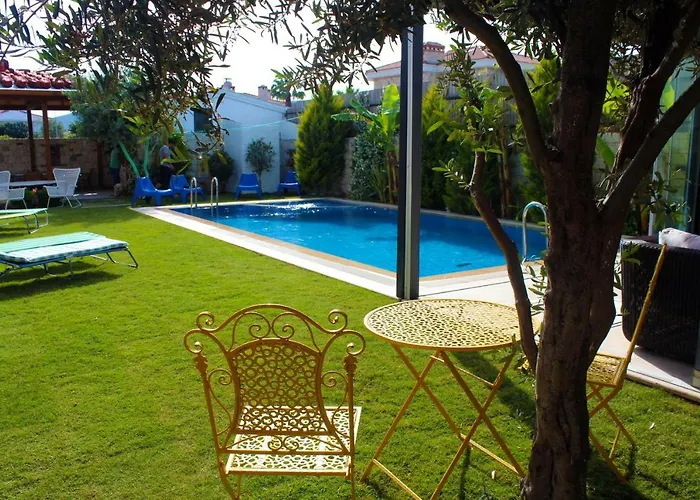 Viola (adults Only) 2*